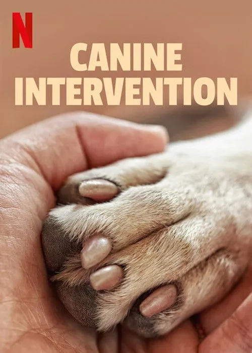 Cali K9: Trường huấn khuyển