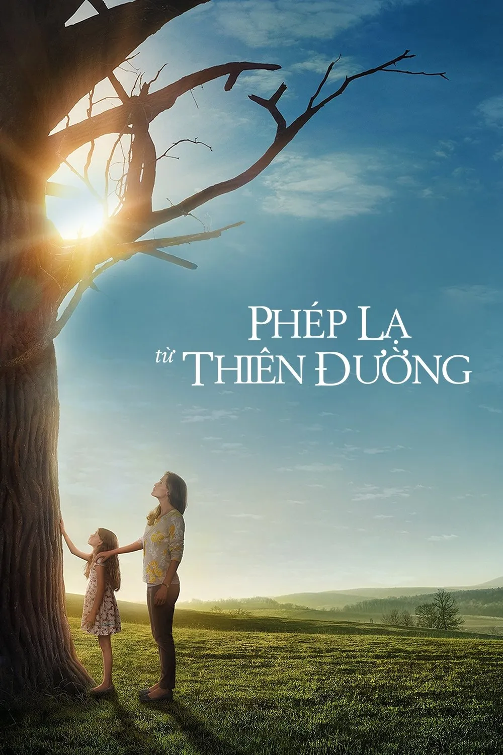 Phép lạ từ thiên đường