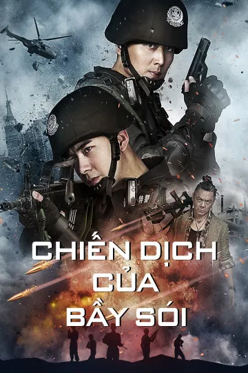 Hoạt động của sói