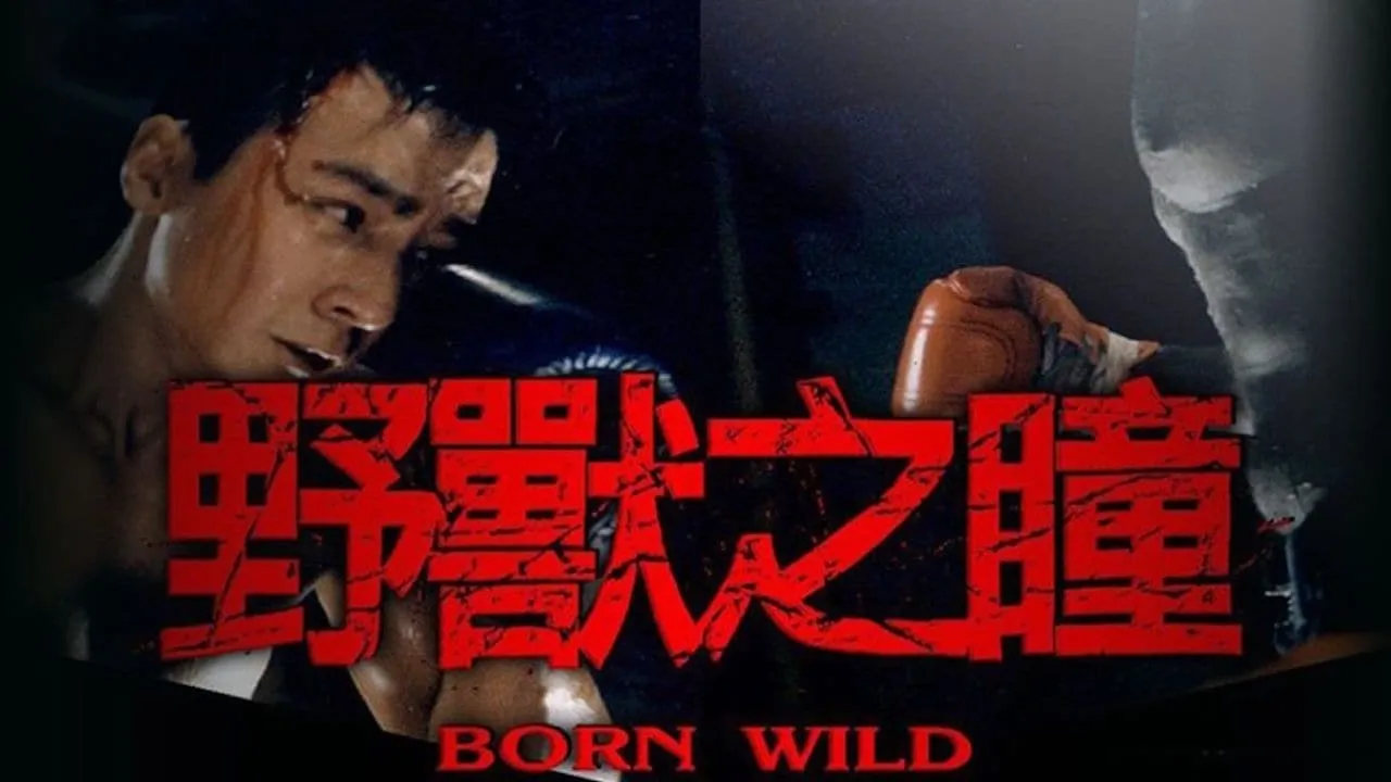poster 2
