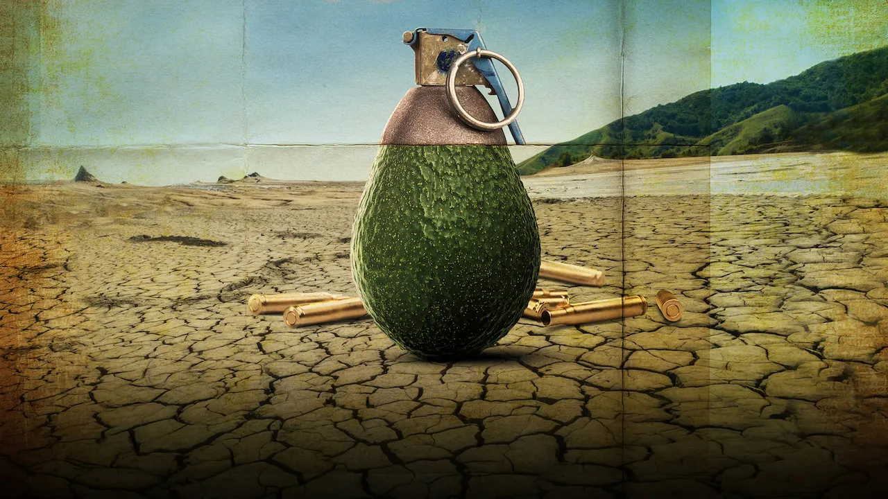 poster 2