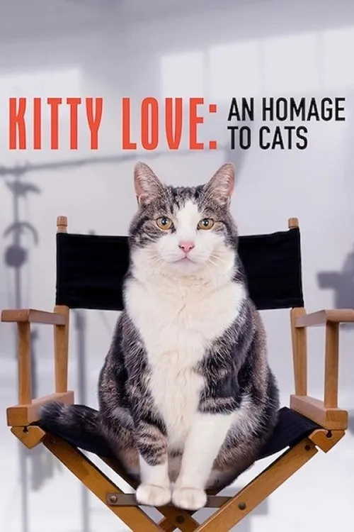 Kitty Love: Mèo cưng nhà mình