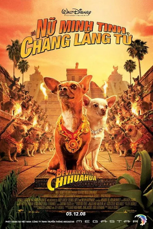 Những Chú Chó Chihuahua